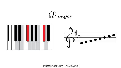 D major scale, two sharps. Piano keyboard top view with dedicated keys. Musical theory. Vector illustration.