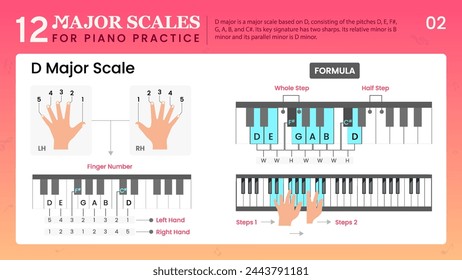 D Major Scale Visual Guide Essential Music Theory for Piano