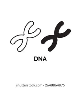 D N A Chromosome Pair Black White Outline Icon vector