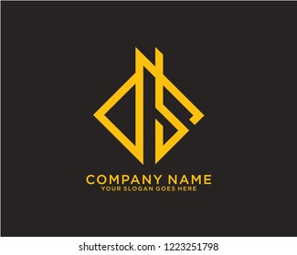 D S Initial logo template vector