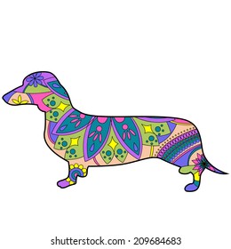 Dachshund