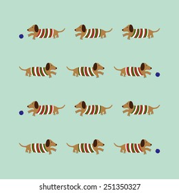 Dachshund