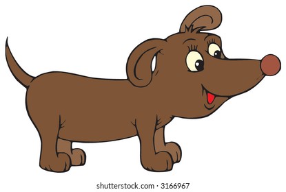 Dachshund