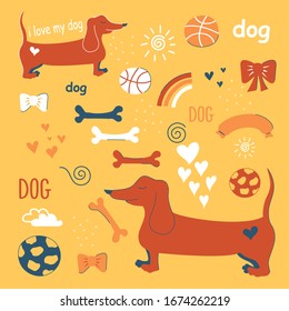 Dachshund and accessories for dogs. Vector illustration. Flat design. Hand-drawn