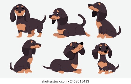 Dachshund Action Series, Diverse Poses Collection