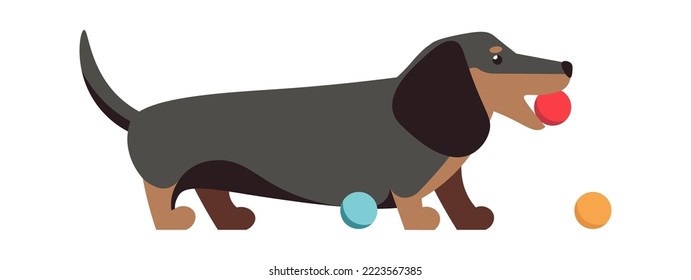 Dachshund with balls Animal icon. Vector illustration
