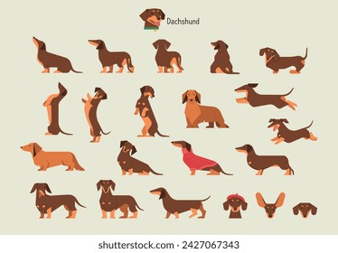 Dachshund. Behavior Bundle Set. flat vector illustration.