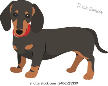 Ilustración vectorial de color negro de Dachshund