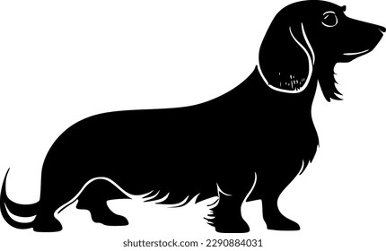 Dachshund | Black and White Vector illustration