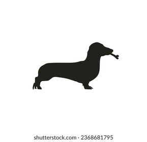 dachshund bone vector logo illustration