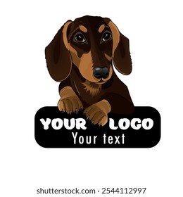 dachshund breed dog, hand drawn, vector illustration