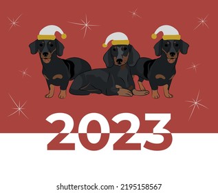 Dachshund breed, dog pedigree drawing. Cute dog characters in various poses, designs for prints, adorable and cute Christmas dachshund cartoon vector set, in different poses. Flat cartoon style.