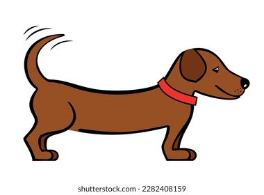 Dachshund breed dog. A small brown dog with a long body. Funny dog, simple vector drawing, colorful illustration. A dachshund in a red collar, a dog wagging its tail