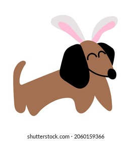 Dachshund with bunny ears. Costume of bunny for Easter party. Vector illustration on white background.