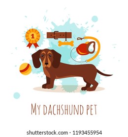 Dachshund care infographic concept with dog grooming isolated elements. Puppy training colorful cartoon poster vector illustration template for web sites, pet shops