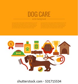 Dachshund care infographic concept with dog grooming isolated elements. Puppy training colorful cartoon poster vector illustration template for web sites, pet shops.