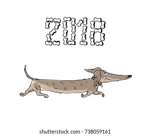 Dachshund. Chinese zodiac symbol of 2018 year, isolated on white background. Element for new year of dog 2018 design. Sign 2018 designed from dog's biscuits.