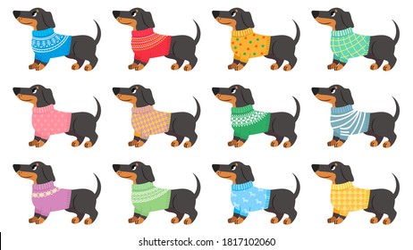 Dachshund clothes. Dogs wear with trendy patterns, puppy in various sweaters. Cute pets, dachshunds fashion cartoon vector set. Winter colorful clothing for isolated animals on white