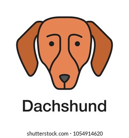 Dachshund color icon. Hotdog. Hound dog breed. Isolated vector illustration