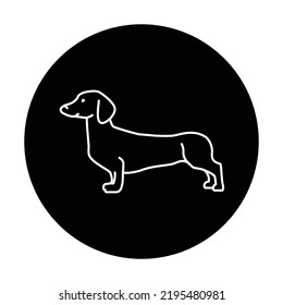 Dachshund color line icon. Dog breed. Pictogram for web page, mobile app, promo.
