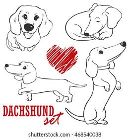 dachshund.set of cute cartoon dachshund sketches isolated on white background. Dogs life. Dog walking. Dog looking. Dog logo. German badger-dog.