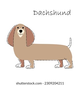 Dachshund . Cute dog cartoon characters . Flat shape and line stroke design . Vector illustration .