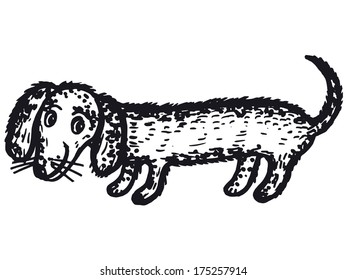 dachshund dog