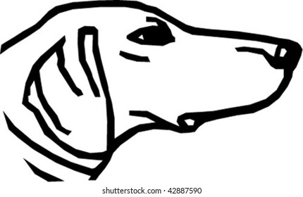 dachshund dog