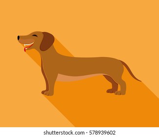 Dachshund dog.