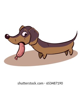 dachshund dog
