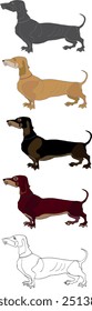 Dachshund perro animal personaje Vector Clip arte vista de perfil.
Ilustración de dibujo de dibujos animados de perro negro marrón oscuro Arte de Clip lindo perro de caza logo cachorro divertido doméstico. Elemento de libro infantil colorido