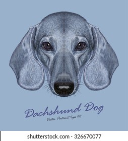 Dachshund dog animal cute face. Vector cute dachshund puppy head portrait. Realistic fur portrait of silver funny dachshund doggy isolated on blue background.
