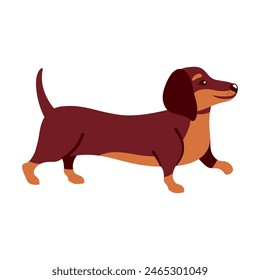 dachshund dog animal mascot standing