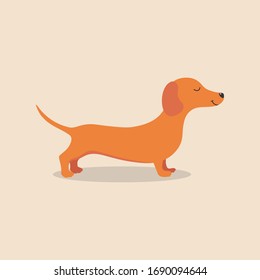 Dachshund dog animal. vector illustration