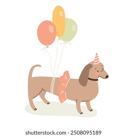 Dachshund dog with balloons celebrates his birthday. Vector illustration in flat style.