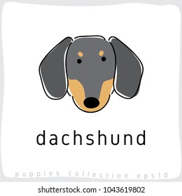 Dachshund : Dog Breed Collection : Vector Illustration