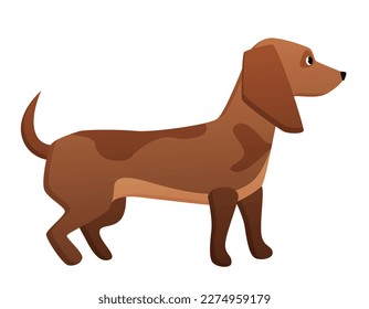 Dachshund dog breed. Domestic pet, family friend, sausage dog vector cartoon illustration