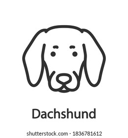 Dachshund, Dog breed, linear icon. Editable stroke