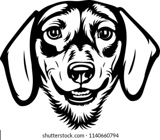 Dachshund dog breed pet face head isolated animal domestic pet canine puppy purebred pedigree hound portrait peeking paws smiling smile happy art artwork illustration design set