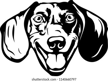 Dachshund dog breed pet face head isolated animal domestic pet canine puppy purebred pedigree hound portrait peeking paws smiling smile happy art artwork illustration design set