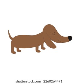 Dachshund dog breed with tongue. Cute cartoon character on white background. Isolated. Flat design Vector illustration