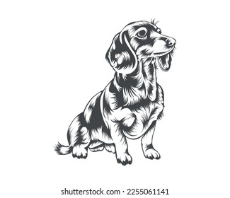 Dachshund Dog Breed Vector Illustration, Dachshund Dog Vector on White Background for t-shirt, logo, and others svg