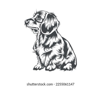 Dachshund Dog Breed Vector Illustration, Dachshund Dog Vector on White Background for t-shirt, logo, and others