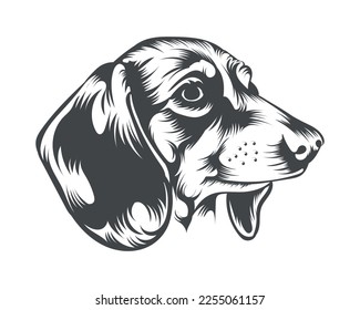 Dachshund Dog Breed Vector Illustration, Dachshund Dog Vector on White Background for t-shirt, logo, and others