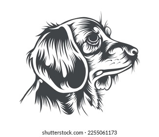 Dachshund Dog Breed Vector Illustration, Dachshund Dog Vector on White Background for t-shirt, logo, and others