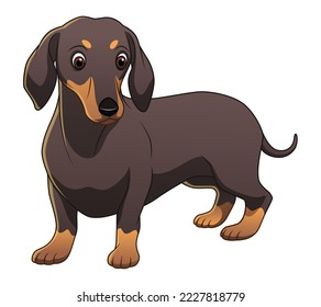 Dachshund Dog Cartoon Animal Illustration