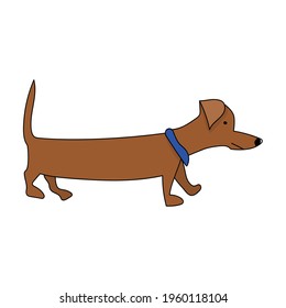 dachshund dog in cartoon style, long brown pet vector illustration