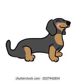 Dachshund dog  cartoon vector illustration