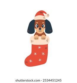 Cão Dachshund na meia de Natal. Bonito Xmas Puppy em Santa Hat. Decoração da parte de férias. Ilustração vetorial em estilo de desenho animado plano