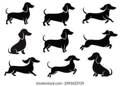 Dachshund Dog collection silhouette black vector on white background